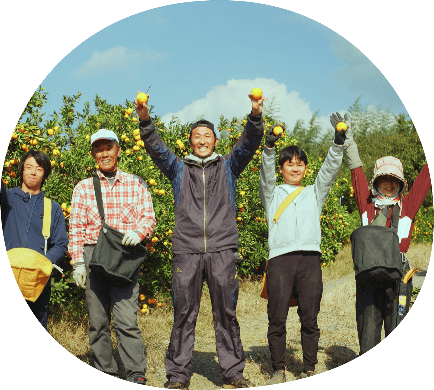 あさひ農園イメージ写真