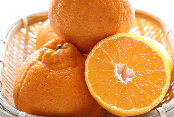 不知火（デコポン）の商品写真